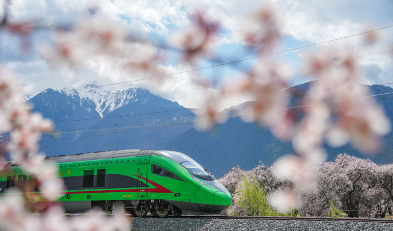 2025年4月2日，復(fù)興號(hào)列車穿行在拉林鐵路林芝段。