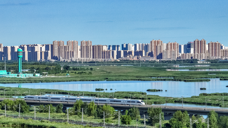 2025年8月17日，一列動車組列車駛過大慶東站。