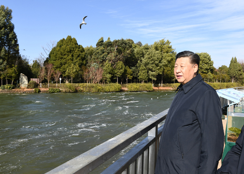 2020年1月20日下午，習(xí)近平總書記在云南昆明滇池星海半島生態(tài)濕地考察調(diào)研。