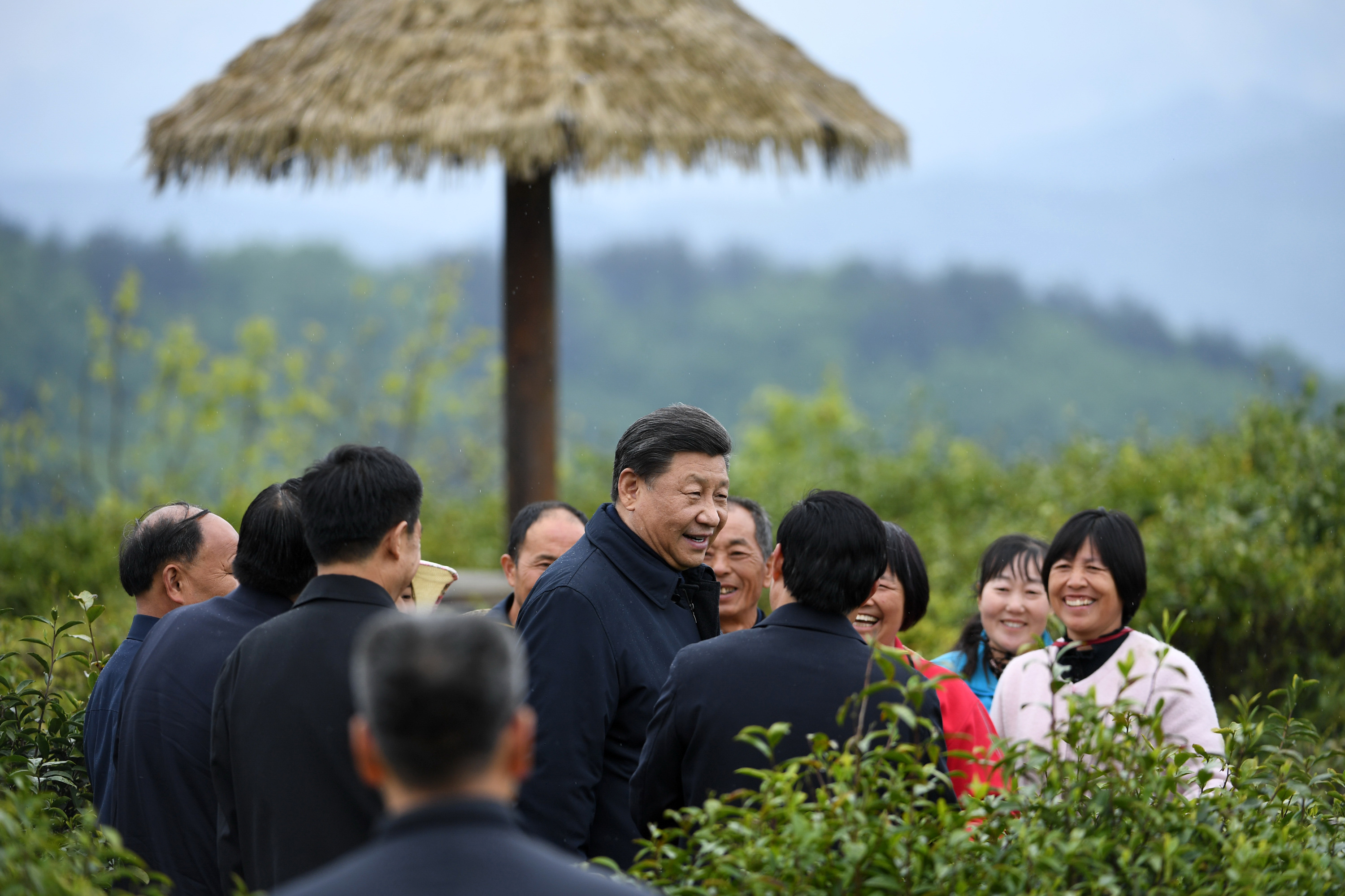 2020年4月21日，習(xí)近平在安康市平利縣老縣鎮(zhèn)蔣家坪村女媧鳳凰茶業(yè)現(xiàn)代示范園區(qū)，同茶農(nóng)們親切交談。