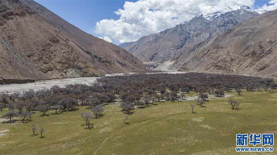 (新華視界)(8)鳥(niǎo)瞰珠峰