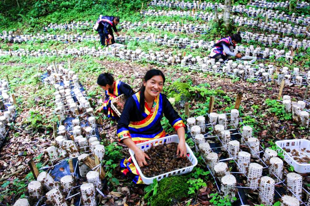 喜獲豐收展笑顏。次仁央宗攝