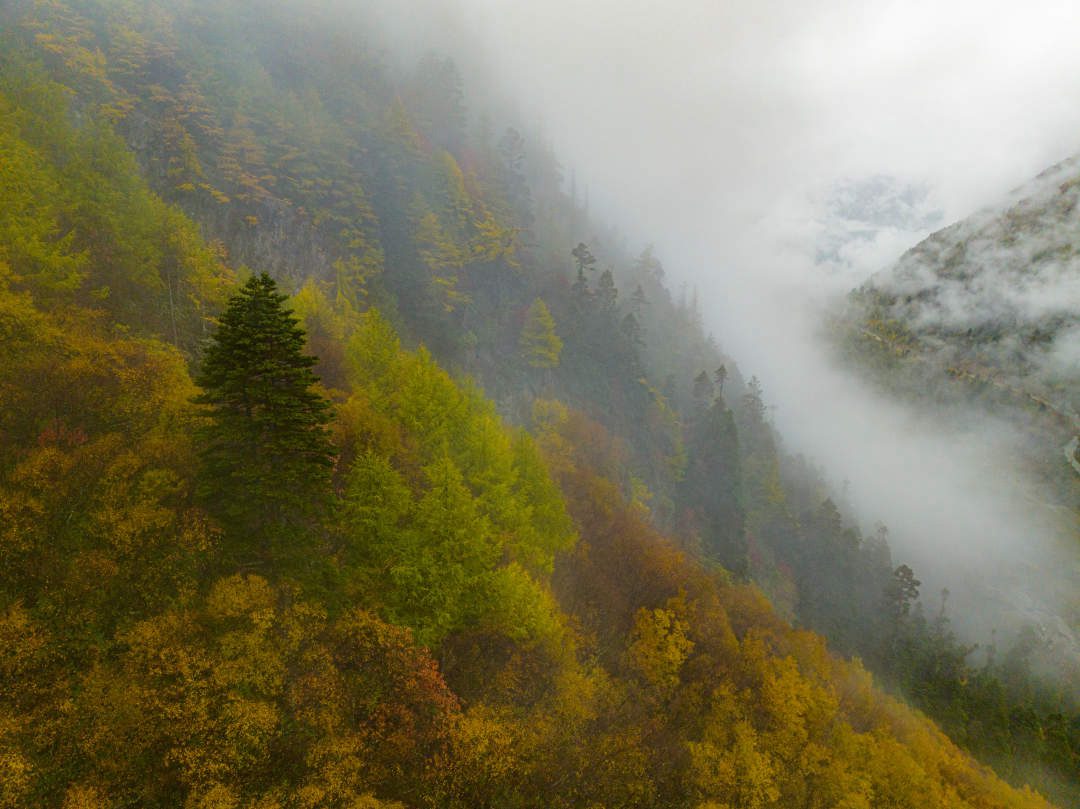 云纏霧繞，層林盡染。