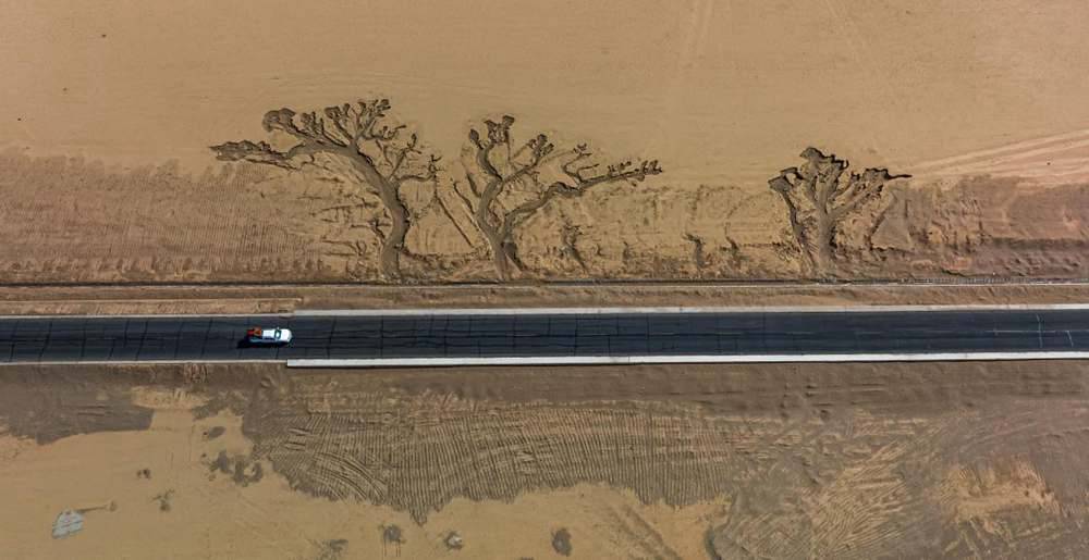 位于國道216沿線的“大地之樹”。邊巴多吉攝