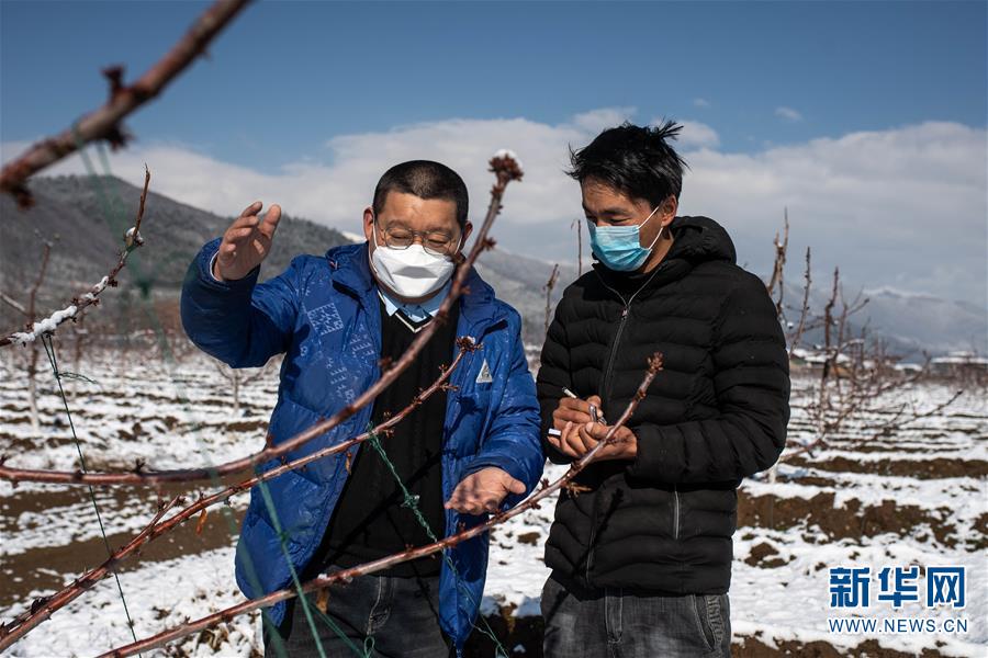 (脫貧攻堅)(2)云南迪慶藏區(qū):打好防疫脫貧兩場戰(zhàn)役