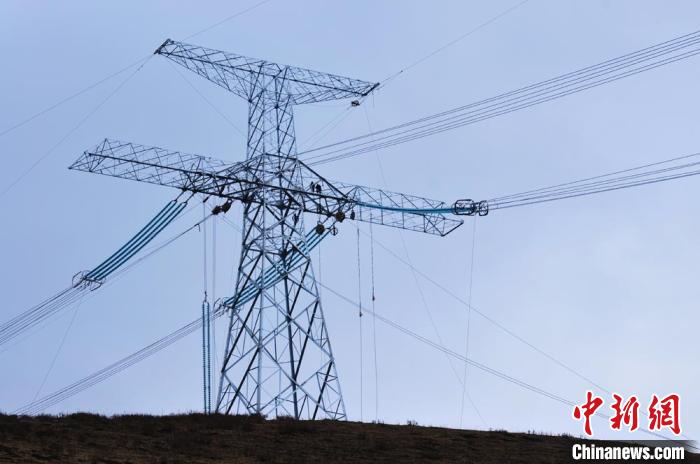 高原藏區(qū)電力線路建設(shè)者：高寒缺氧、扎刺掛彩是常事