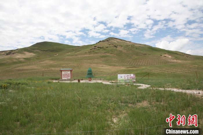 四川省阿壩州若爾蓋縣草原沙化治理后。若爾蓋縣林業(yè)和草原局供圖