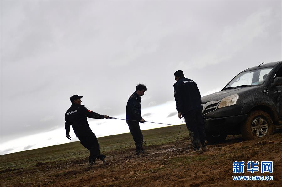 （圖文互動）（10）記者手記：可可西里，“挪”向“藏羚羊大產(chǎn)房”的14個半小時