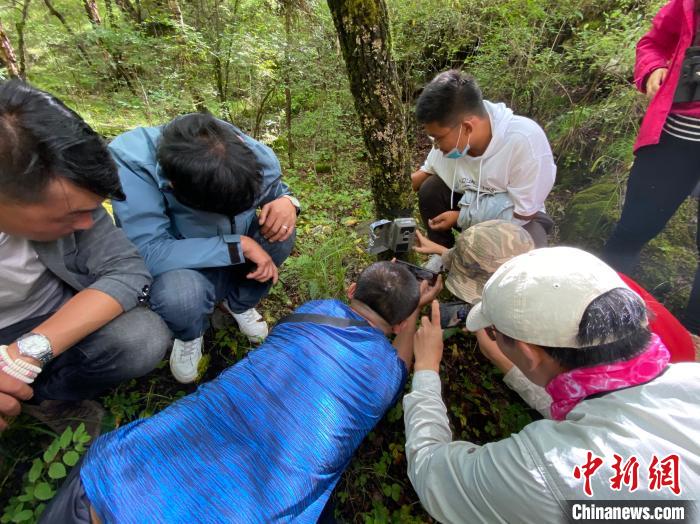 圖為訪客正在查看紅外相機中的拍攝畫面?！±罱瓕?攝