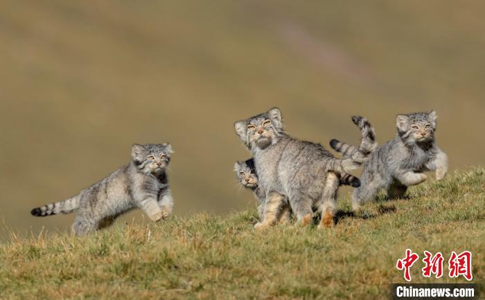 圖為李善元獲獎作品《當媽媽說跑步前進》?！±钌圃?攝