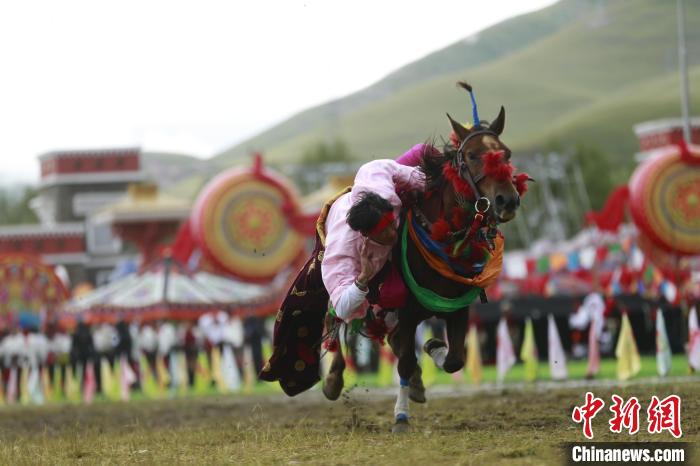 青海玉樹：70年，幸福生活如格桑花綻放