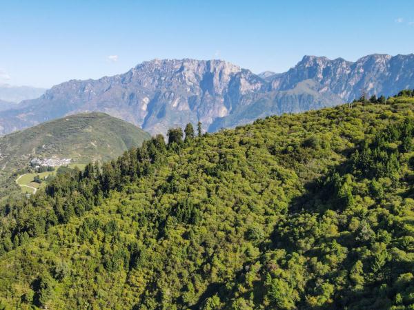 美麗的拉尕山