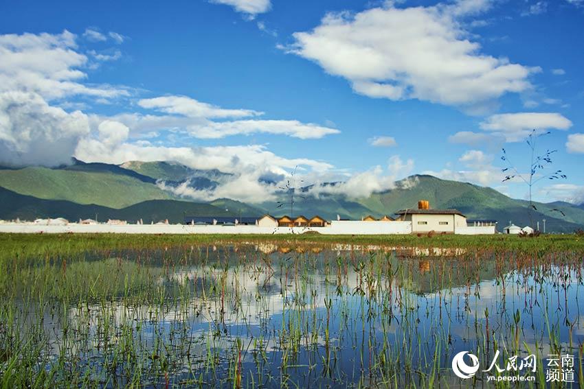 納帕海濕地風(fēng)景。呂昊辰攝