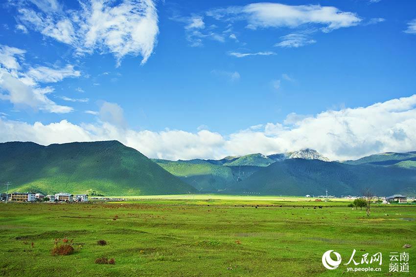 納帕海濕地風(fēng)景。呂昊辰攝