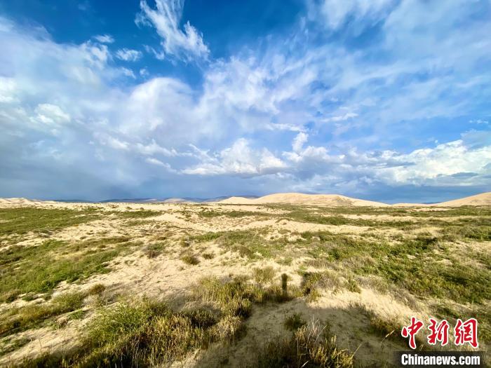 圖為關(guān)停四年后的沙島景區(qū)現(xiàn)狀?！±罱瓕?攝