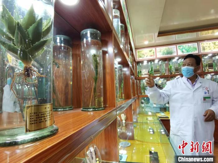 甘肅省甘南藏族自治州碌曲縣藏醫(yī)院副院長看照加近30年的從醫(yī)工作，堅(jiān)持中藏醫(yī)特色優(yōu)勢相結(jié)合診療方法?！堟?攝