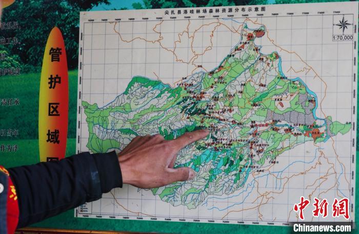 圖為桑杰加介紹管護區(qū)域分布?！●R銘言 攝