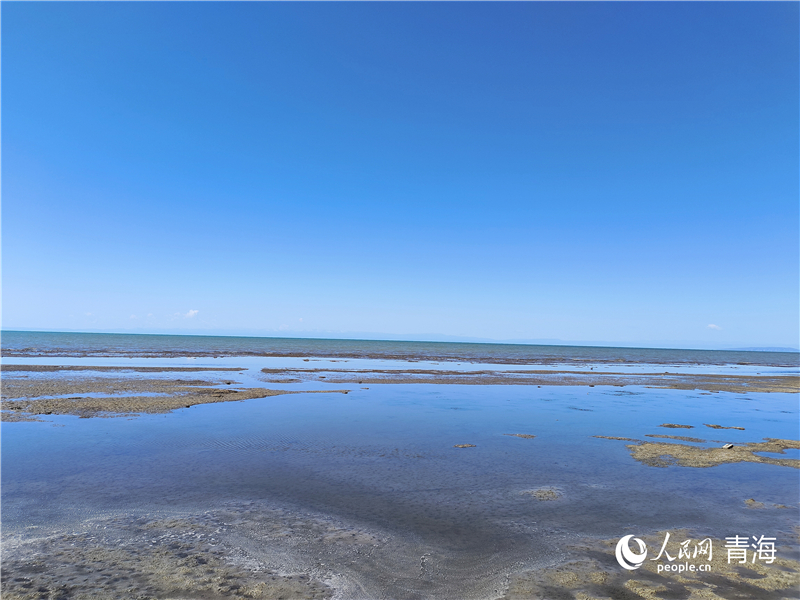   青海湖仙女灣。人民網(wǎng) 張莉萍攝