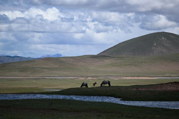 唐古拉山腳下，聽牧民講述長江源生活變遷