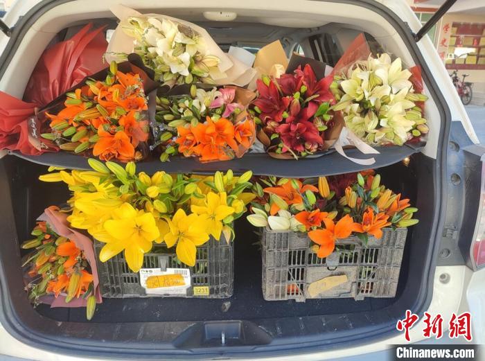 剛剛采摘下來(lái)的百合花?！∪捞量h委宣傳部供圖