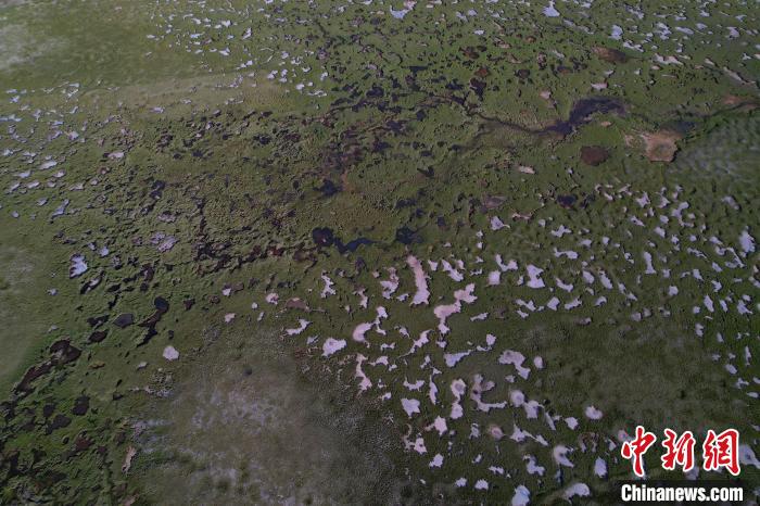 航拍查旦濕地?！●R銘言 攝