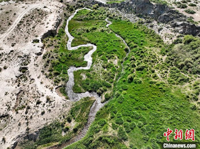 圖為航拍都蘭湖國(guó)家濕地公園綠意盎然?！∑钤鲚?攝