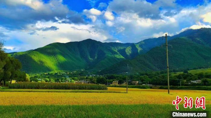云南迪慶:鄉(xiāng)村旅游助力增收致富