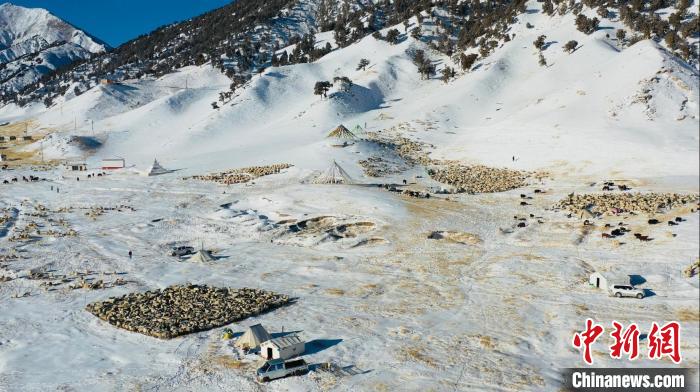 圖為無(wú)人機(jī)航拍牧場(chǎng)。　都蘭縣融媒體中心供圖