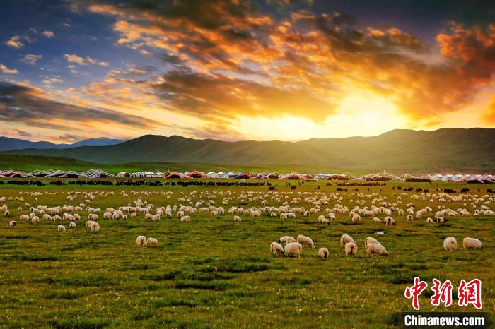 資料圖為青海省玉樹(shù)州稱多縣草原風(fēng)光?！」?攝