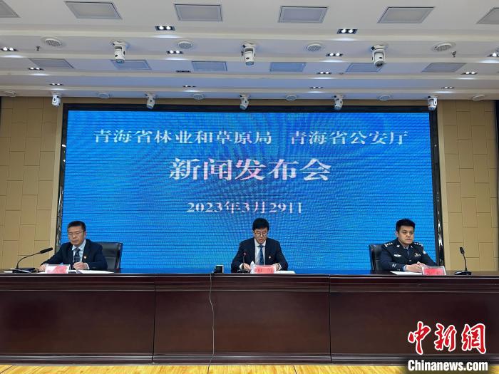 青海去年占用林地、草地準(zhǔn)予許可件同比實(shí)現(xiàn)“雙減”