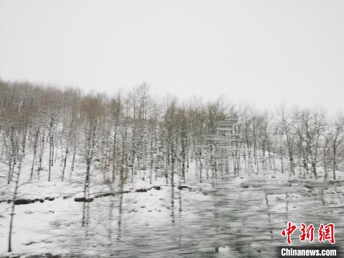 圖為青海青沙山區(qū)域被降雪覆蓋?！?zhí)砀?攝