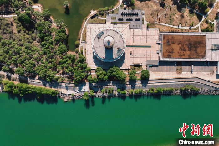 航拍青海貴德黃河岸畔綠意濃濃?！≮w凜松 攝