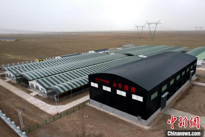 圖為航拍生態(tài)畜牧業(yè)集中規(guī)?；B(yǎng)殖基地。　蔡志睿 攝