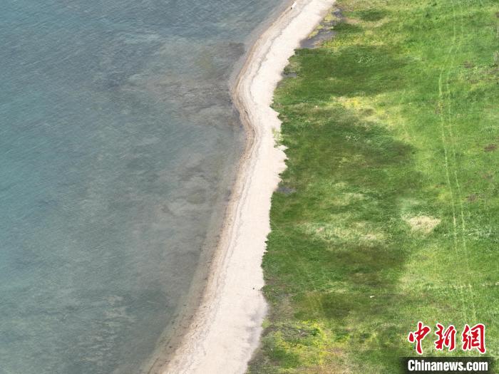 圖為航拍仲夏時節(jié)，青海湖畔綠茵如毯?！∑钤鲚?攝