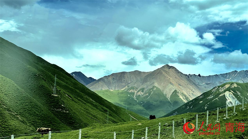 果洛風(fēng)光。人民網(wǎng) 劉沛然攝