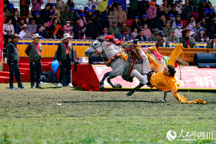 馬術(shù)表演現(xiàn)場。洛絨尼瑪攝