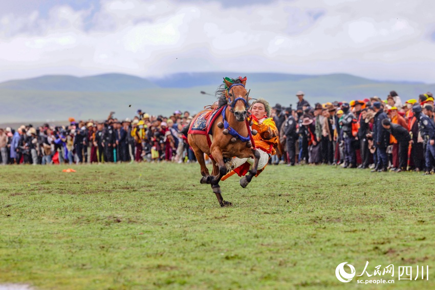 馬術(shù)表演現(xiàn)場。洛絨尼瑪攝