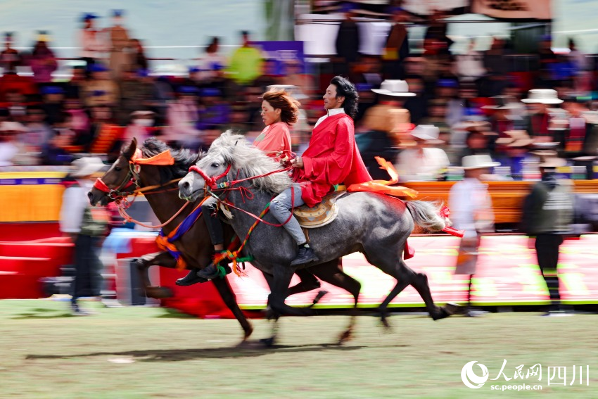 馬術(shù)表演現(xiàn)場。洛絨尼瑪攝