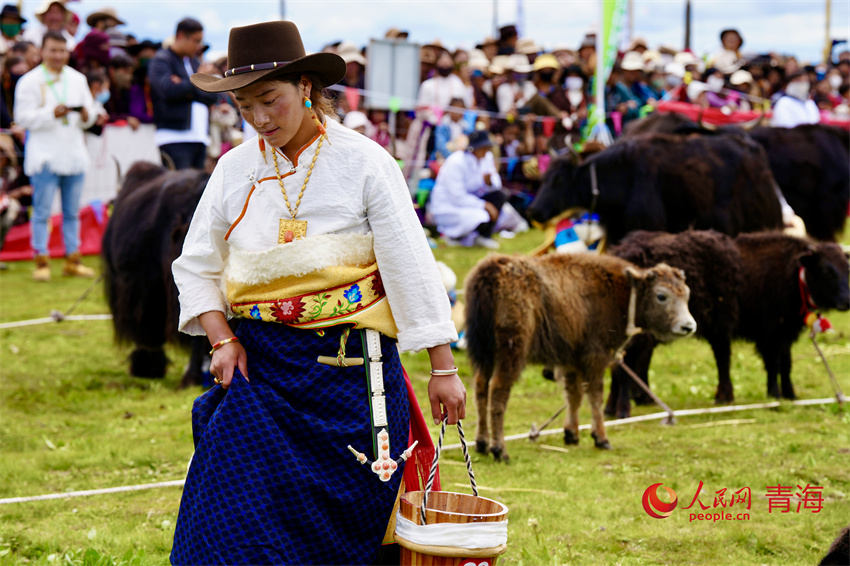 擠牦牛奶大賽。人民網(wǎng) 陳明菊攝