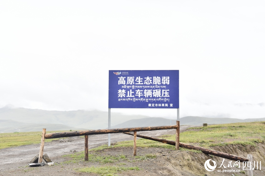 禁止車輛碾壓草原的提示牌。人民網(wǎng)記者 王洪江攝