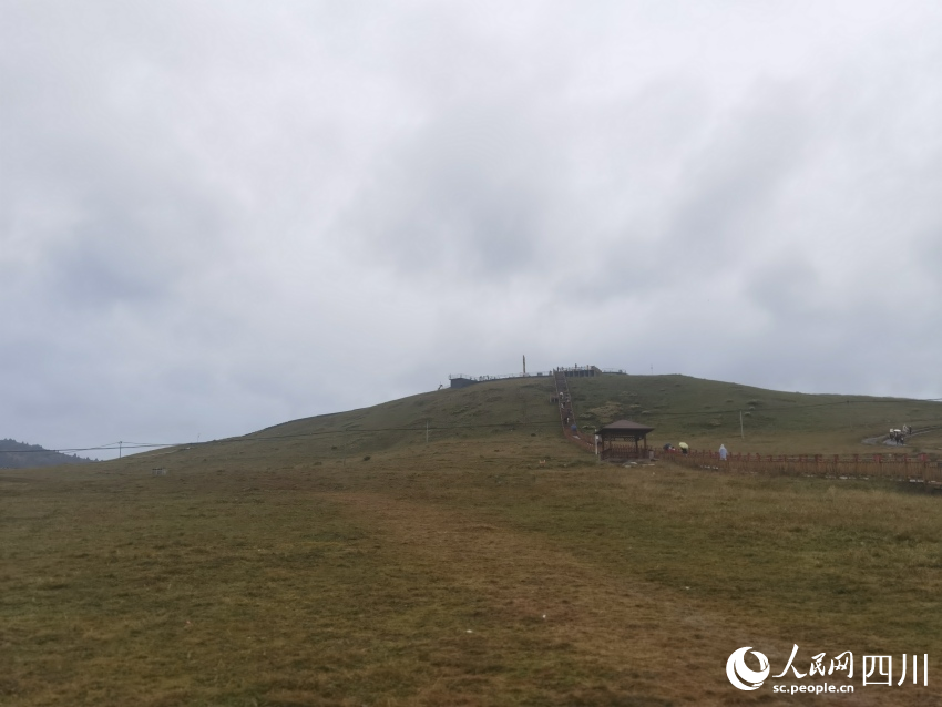 甘孜州塔公草原。人民網(wǎng)記者 王洪江攝