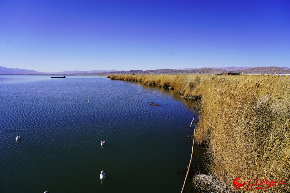 可魯克湖秋色如畫(huà)。人民網(wǎng) 陳明菊攝