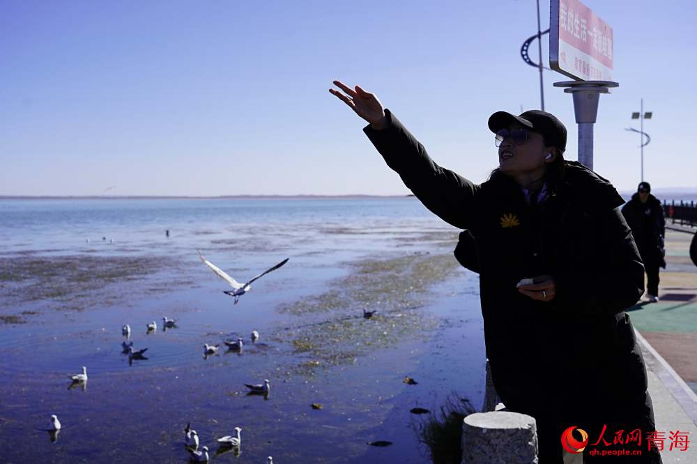 游客投喂水鳥(niǎo)。人民網(wǎng) 陳明菊攝