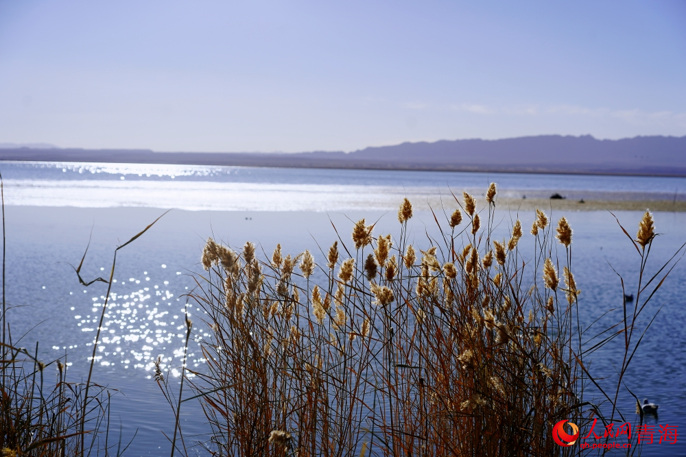 可魯克湖秋色如畫(huà)。人民網(wǎng) 陳明菊攝