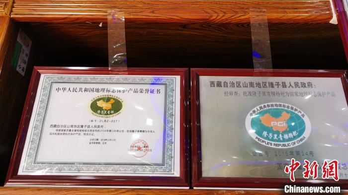 圖為2015年，隆子黑青稞成為中國國家地理標志保護產品。　張偉 攝