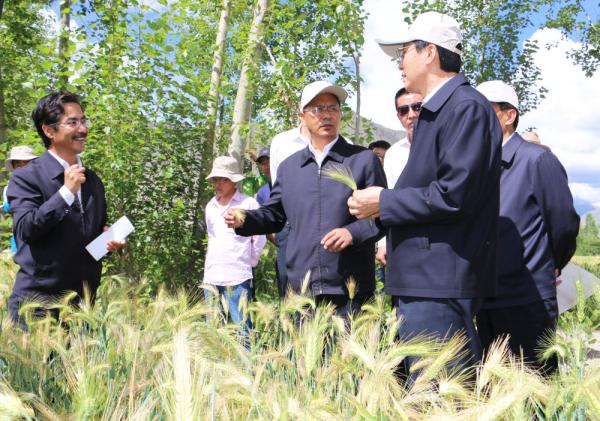 全國表彰大會上，為什么只有他沒到？