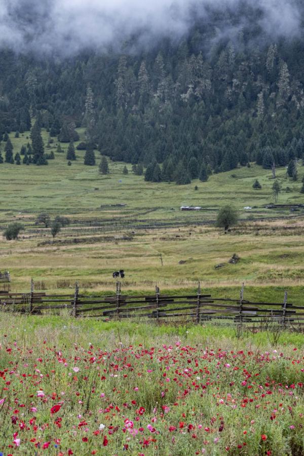 跟我，踏上最美“景觀大道”
