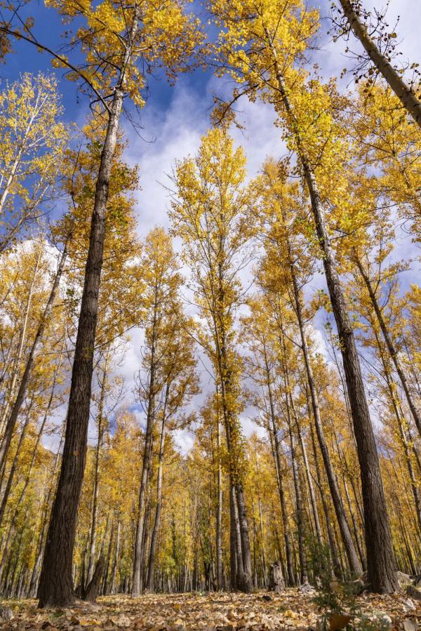 跟我，踏上最美“景觀大道”