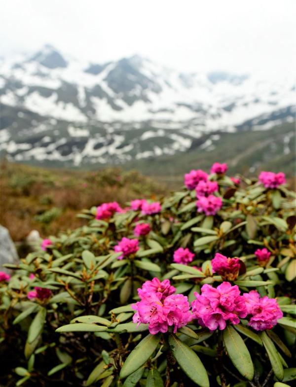 跟我，踏上最美“景觀大道”