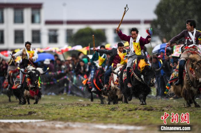 圖為拉薩郊縣的賽馬節(jié)(資料圖)。何蓬磊 攝
